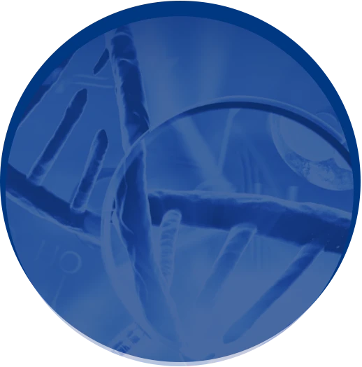 Illustrazione di una doppia elica di DNA vista attraverso una lente d'ingrandimento, utilizzata per rappresentare l'area specialistica "Scienze forensi" di Eurofins Genoma, specializzata nell'analisi genetica applicata alle indagini e alle scienze forensi.