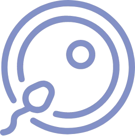 Illustrazione rappresentante un ovocita e uno spermatozoo, utilizzata per rappresentare la consulenza pre-concezionale e per la Procreazione Medicalmente Assistita (PMA) di Eurofins Genoma, finalizzata alla valutazione del rischio riproduttivo.