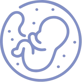 Illustrazione raffigurante un embrione utilizzata per rappresentare la consulenza prenatale di Eurofins Genoma, finalizzata a fornire supporto genetico durante la gravidanza e ad aiutare le coppie nella scelta del percorso di diagnosi prenatale più adatto.