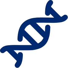 Illustrazione di una doppia elica di DNA, rappresentativa della competenza di Eurofins Genoma nel campo della genetica e della biologia molecolare.